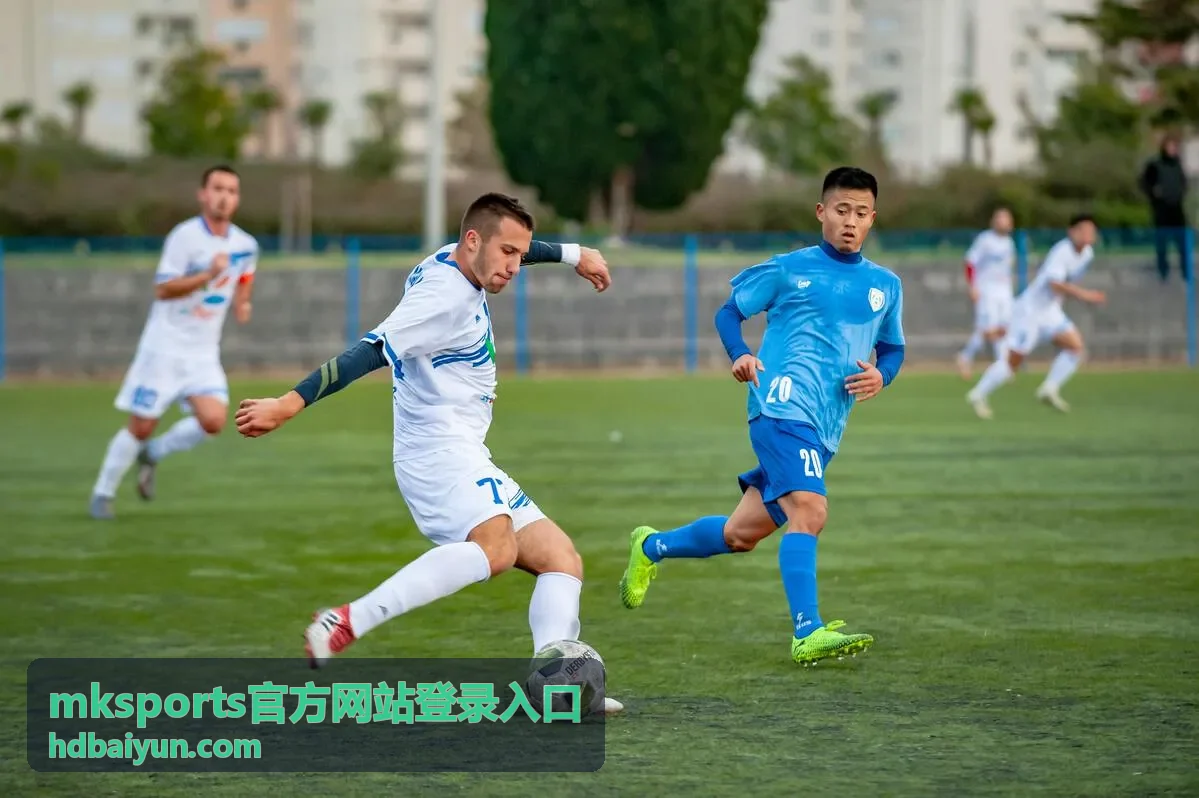 mksports官方网站登录入口 官方访问指南
